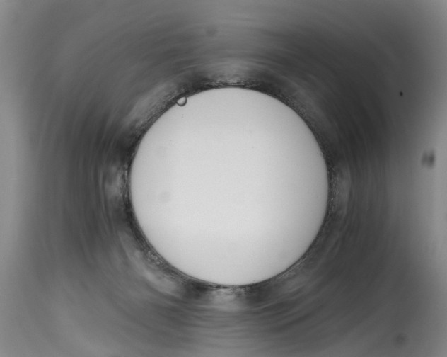 X0000114410126200911061611