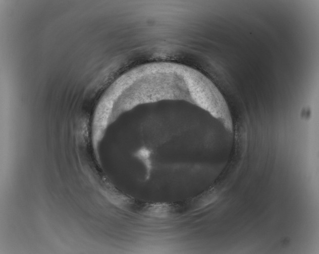 X0000114410127200911061610