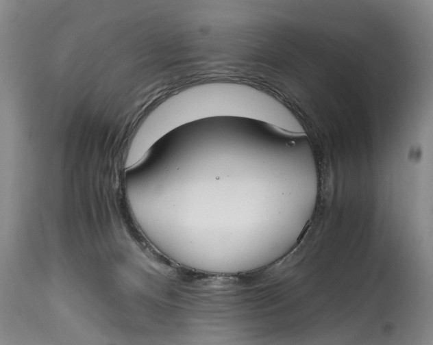 X0000114410128200911061610