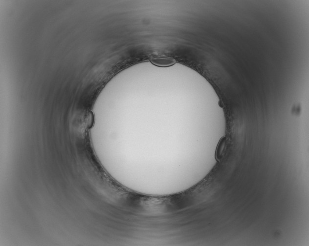 X0000114410129200911061610