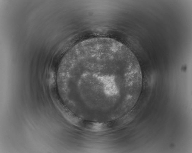 X0000114410130200911061610