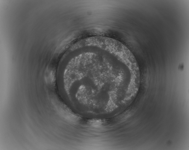 X0000114410131200911061610