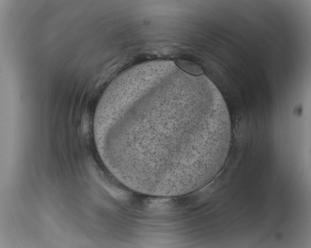 X0000114410132200911061610