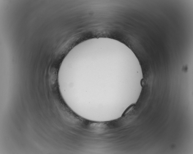 X0000114410133200911061610