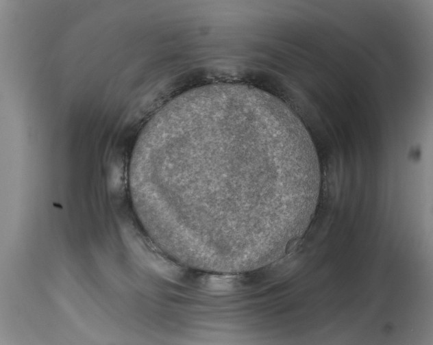 X0000114410134200911061610