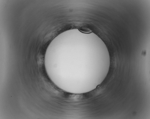 X0000114410135200911061610