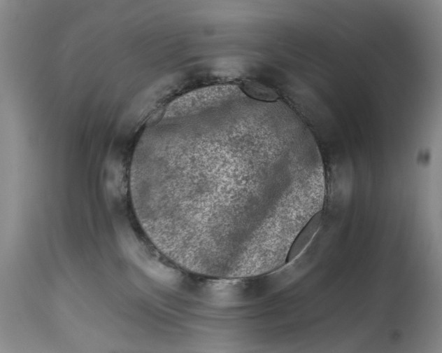 X0000114410136200911061610