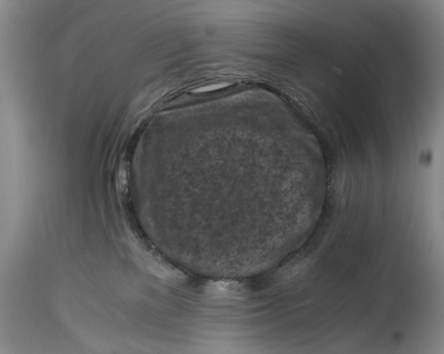 X0000114410137200911061610