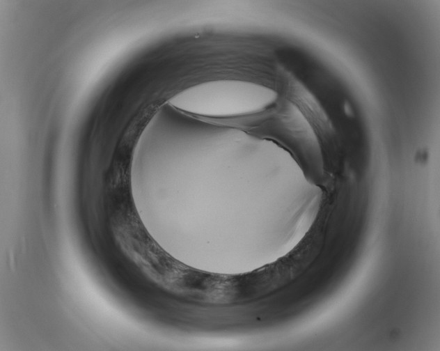 X0000114410143200911061610