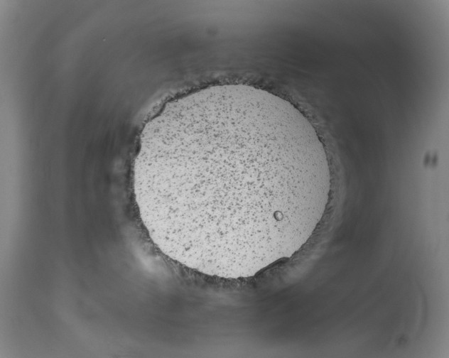 X0000114410144200911061610