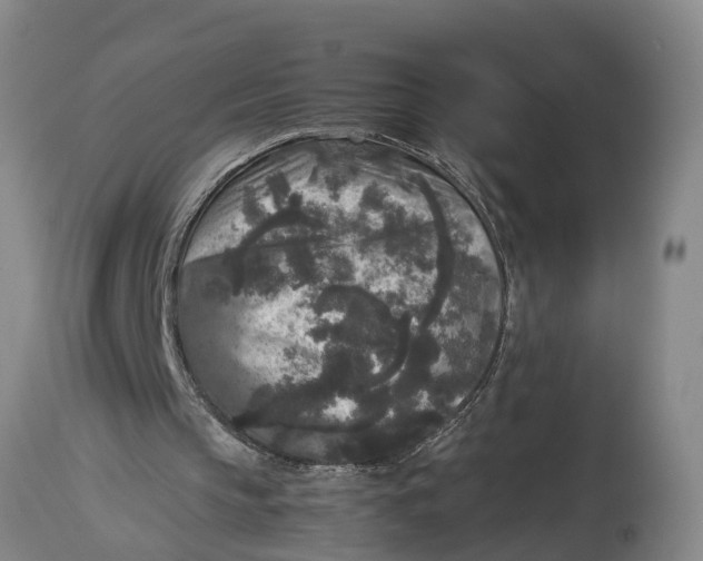 X0000114410145200911061609