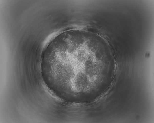 X0000114410149200911061610