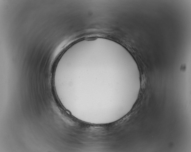 X0000114410150200911061610