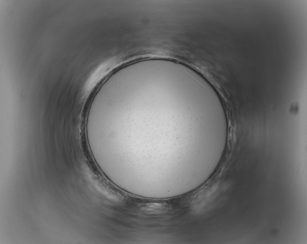 X0000114410151200911061610