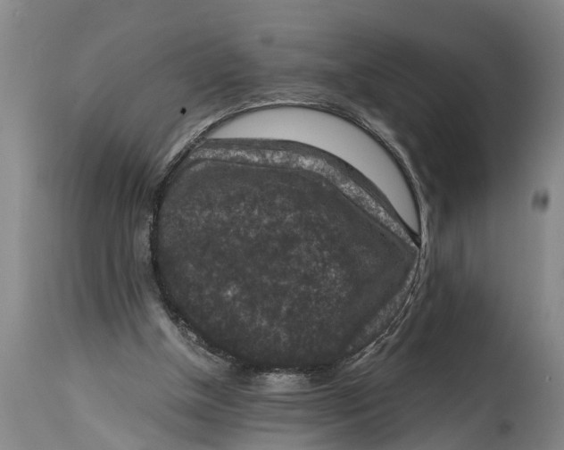 X0000114410154200911061610