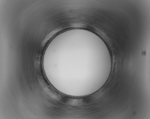 X0000114410155200911061610