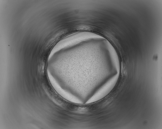 X0000114410157200911061610