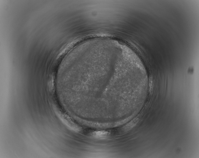 X0000114410158200911061610