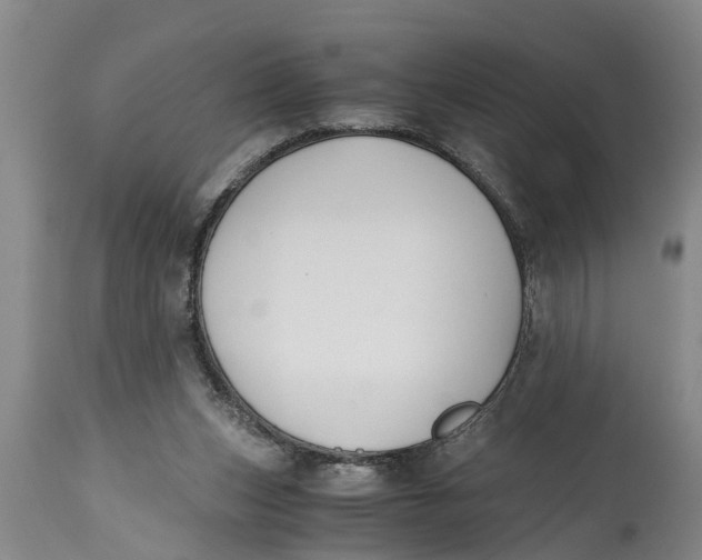 X0000114410159200911061610