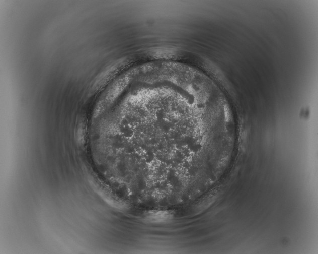 X0000114410161200911061610