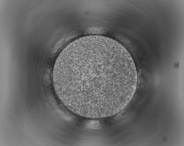 X0000114410162200911061610