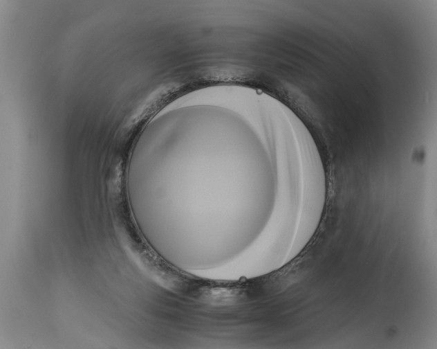 X0000114410163200911061610