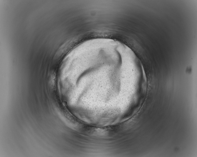 X0000114410166200911061610