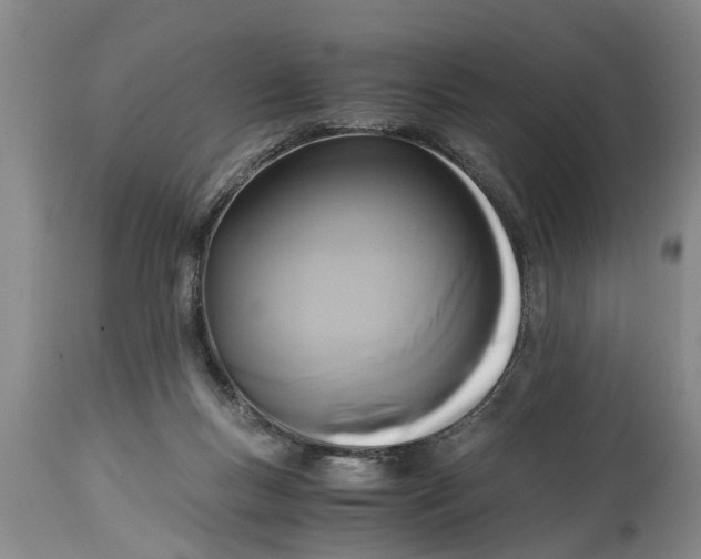 X0000114410167200911061610