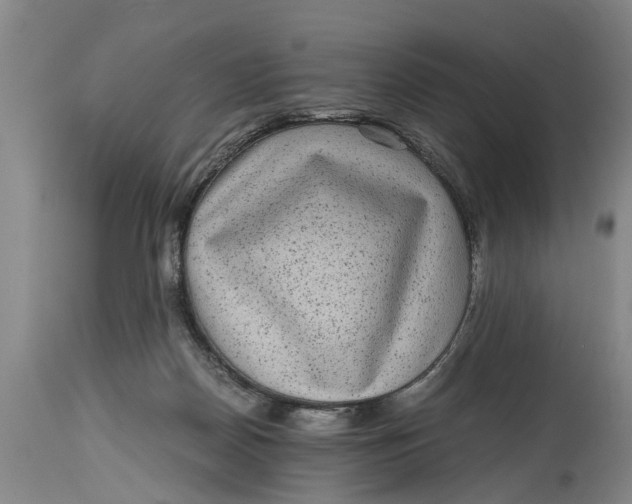 X0000114410170200911061610