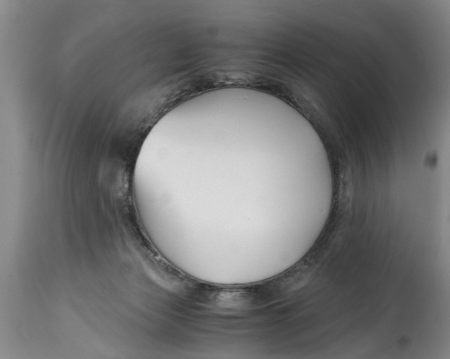 X0000114410173200911061610