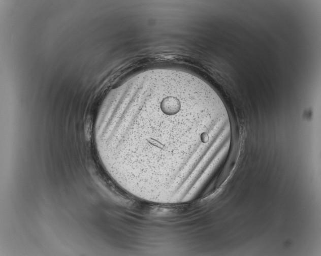 X0000114410174200911061610