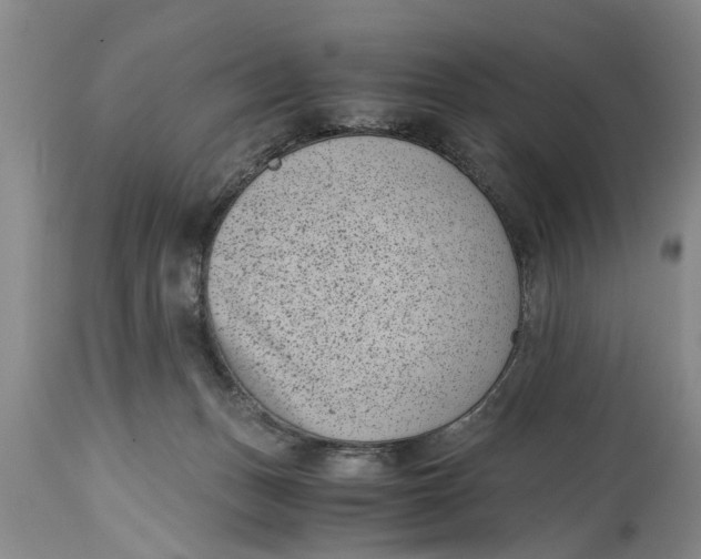 X0000114410175200911061610