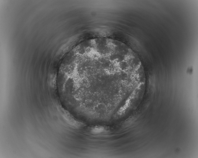 X0000114410177200911061610