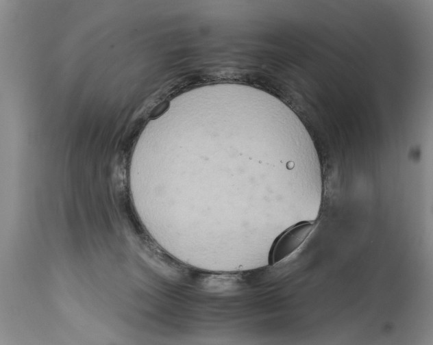 X0000114410179200911061610