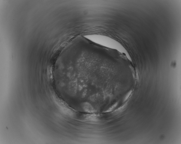 X0000114410182200911061610