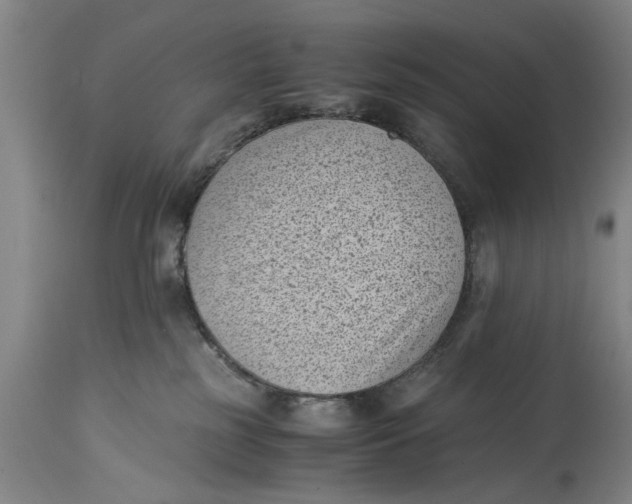 X0000114410185200911061610