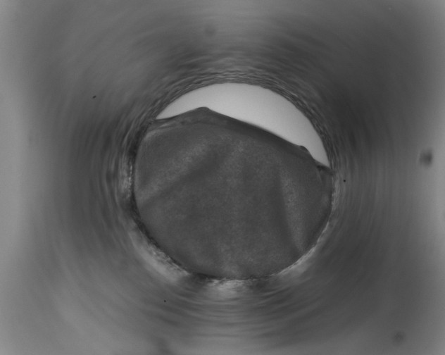 X0000114410186200911061610