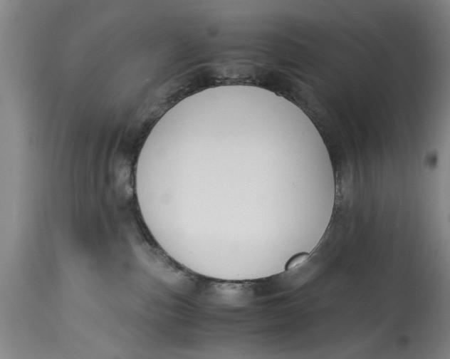 X0000114410187200911061610