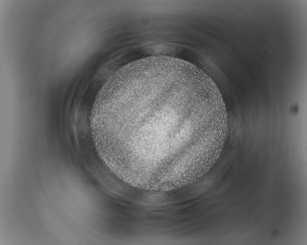 X0000114410189200911061610