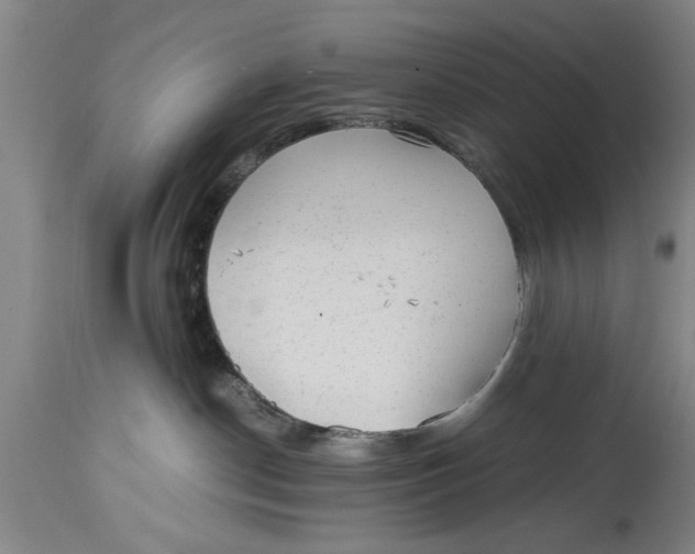 X0000114410190200911061610