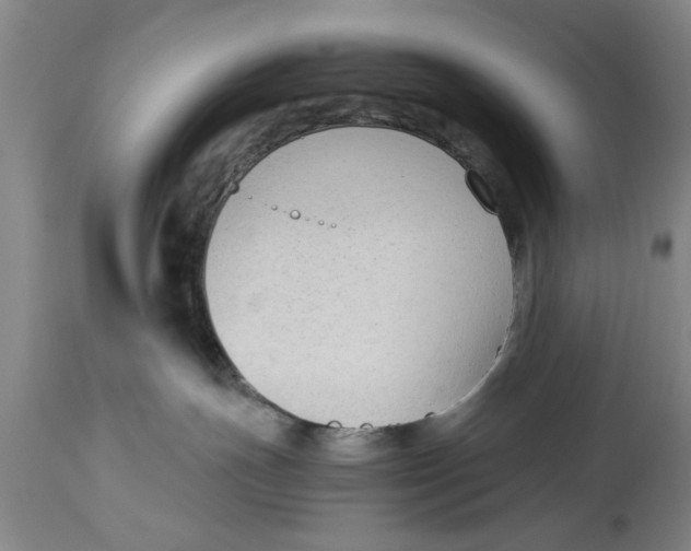 X0000114410191200911061610