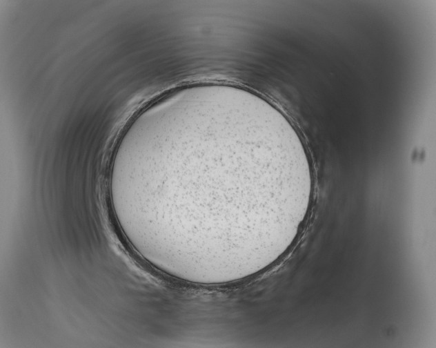 X0000114410193200911061609