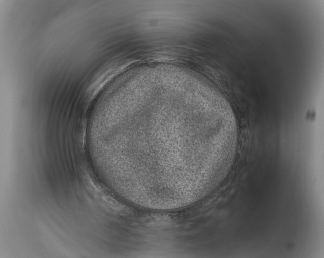 X0000114410194200911061609