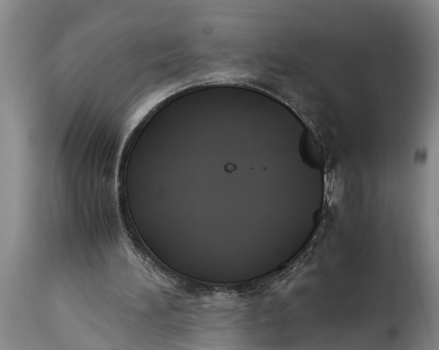 X0000114410196200911061609