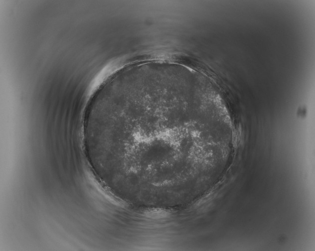 X0000114410198200911061609