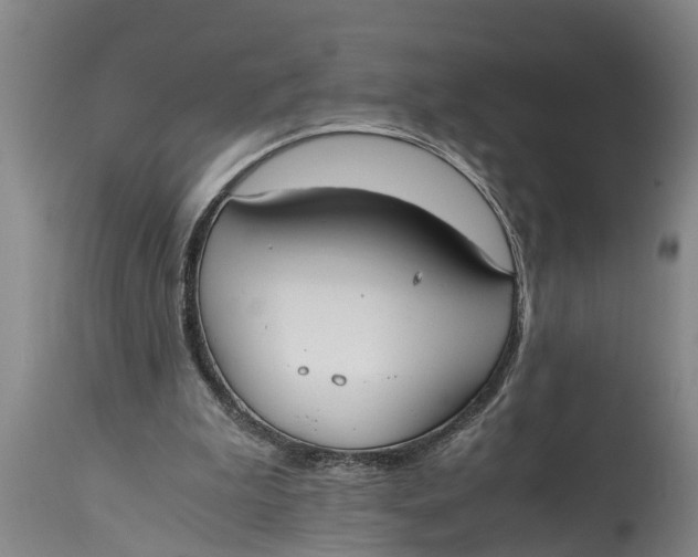 X0000114410199200911061609