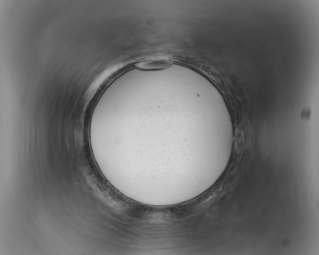 X0000114410200200911061609