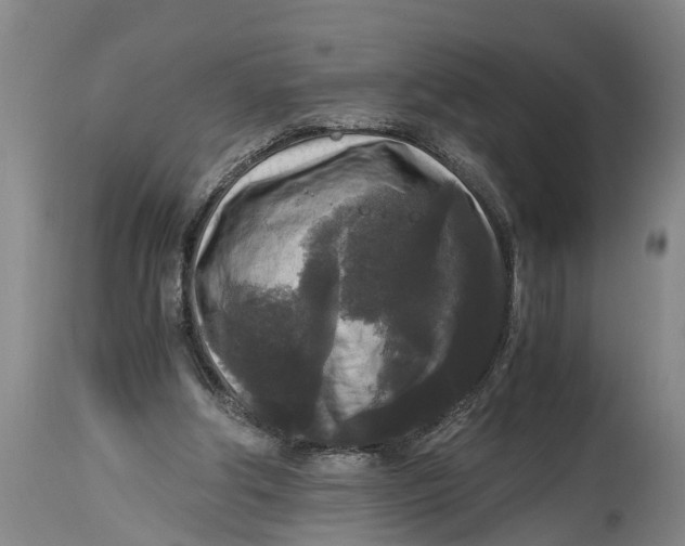 X0000114410202200911061609