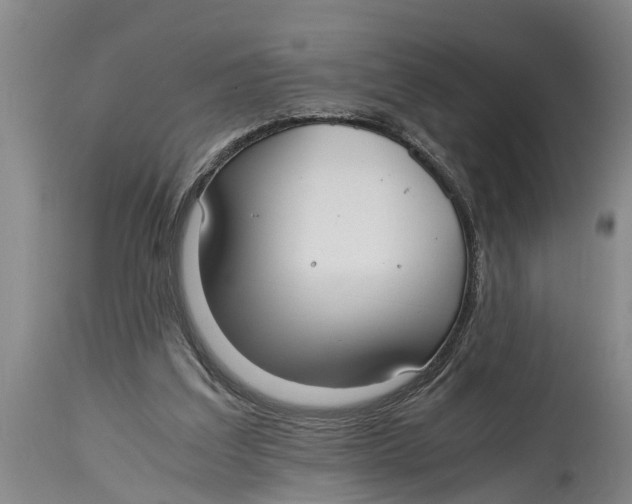 X0000114410203200911061609