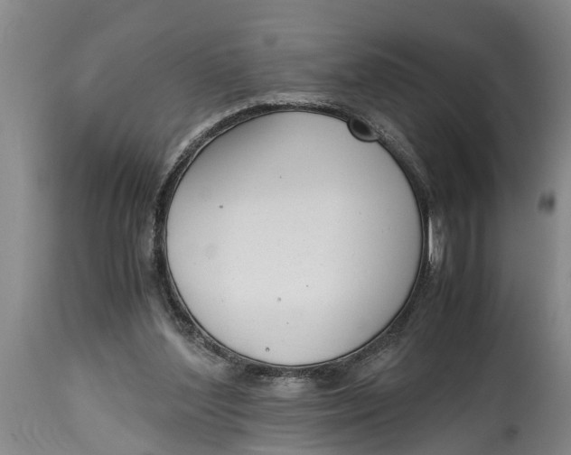 X0000114410204200911061609